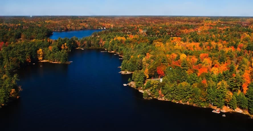 Highway winding through red and orange trees on a Muskoka fall colours drive from Toronto